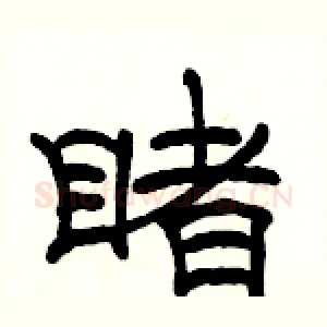 睹