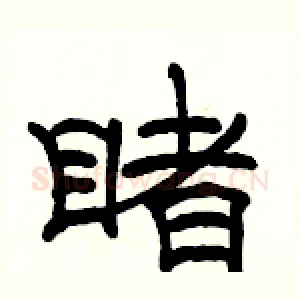 睹