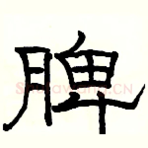 脾