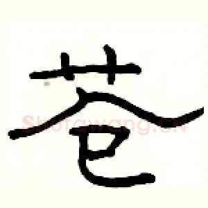 苍