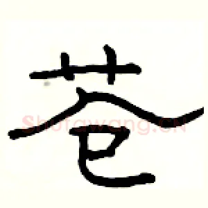 苍