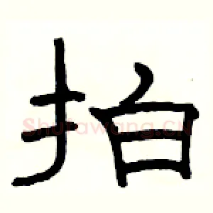 拍