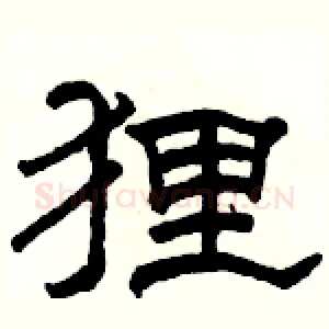 狸