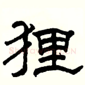 狸