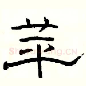 苹