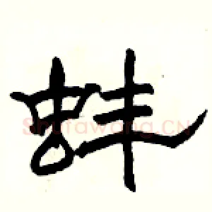 蚌