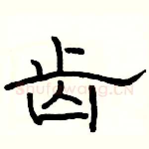 齿