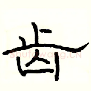 齿