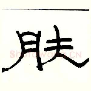 肤