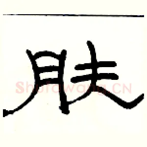 肤