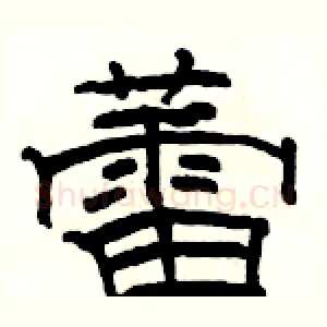 蕾