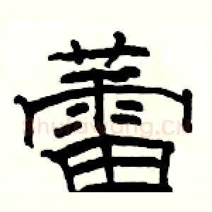 蕾