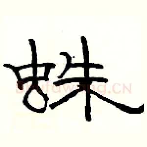蛛