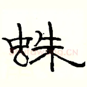 蛛