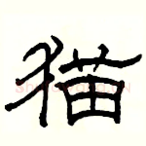 猫