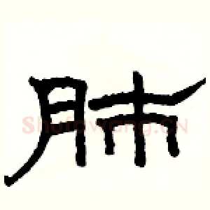 肺