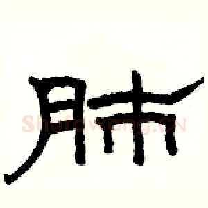 肺