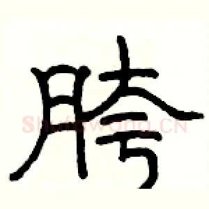 胯