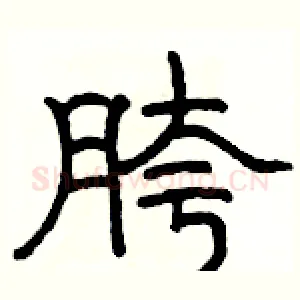 胯
