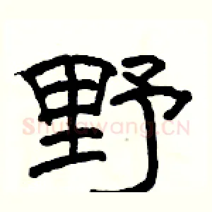 野