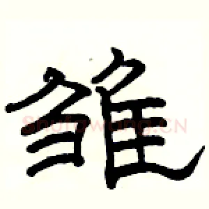 雏