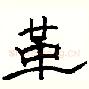 革