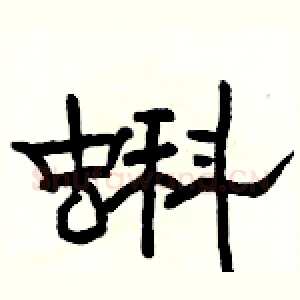蝌