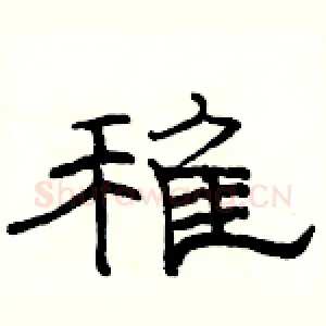 稚