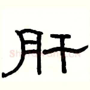 肝