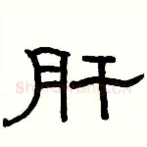 肝