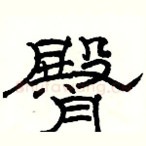 臀