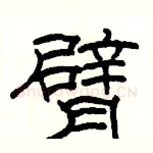 臂