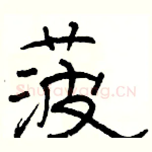 菠
