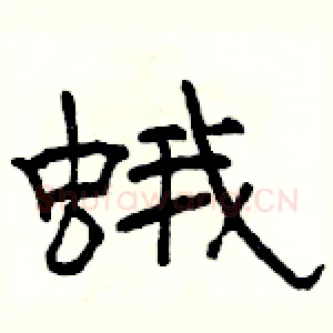 蛾