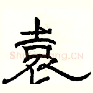 袁