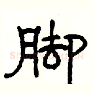 脚