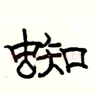 蜘