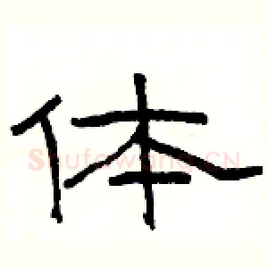 体