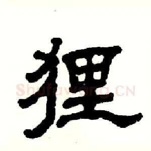 狸