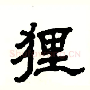 狸