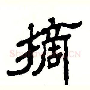 摘