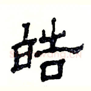 皓