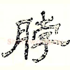 脖