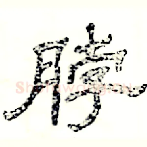 脖