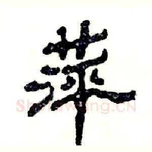 萍