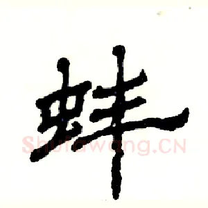 蚌