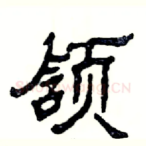 颔