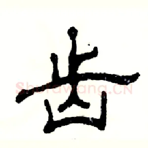 齿