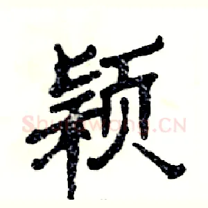 颖