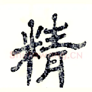 精
